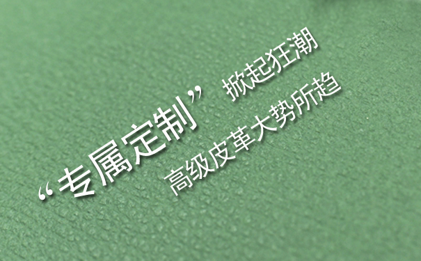 定制皮革,皮革,皮革制品
